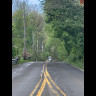 Tree down / Road closed image.jpg