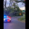 Pine Run Road closed temporarily 85681c56-e203-4f93-b148-c71e2adb862a.jpeg