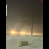 Dense Fog!! cdv_photo_1768699689.jpg