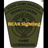 Bear sighting in Speedway cdv_photo_1751713076.jpg