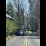 img_7318.jpeg