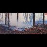 UPDATE- Brush Fire & Traffic Implications fire_3.jpg