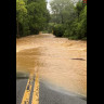 flood.jpg