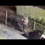 Suspect 3.jpg