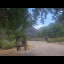 Lodore Canyon Fire 