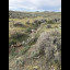 ANIMAL_NEGLECT_002.jpeg