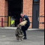 k9_demo_-fisher.jpg