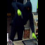 robbery1.jpg