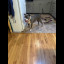 IMG_7281.jpeg