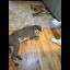 IMG_7282.jpeg