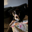 IMG_7426.jpeg