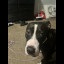 IMG_7428.jpeg