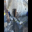 JustinShutt-05-12-2026-14-58-24-UTC.jpg