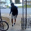 Suspect 1.png