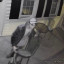 vlcsnap-2022-02-05-08h11m46s443.jpg