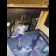 image1 2.jpeg