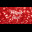 Red Thank You - Made with PosterMyWall.jpg