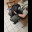 Mesa County Sheriff's Office Animal Cruelty 25-11856 - 3