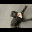 img_8298.jpeg