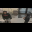 Screenshot 2026-06-17 143643.png