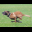 bowie_running.png