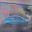 cc59d2f2-9a24-4cbc-8ecf-79b4ccef54d5.jpeg