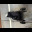IMG_0639.jpeg