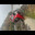 accident 1 10.30.25.jpg