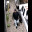 Screenshot_29-4-2026_131630_hatboropdpa.evidence.com_.jpeg