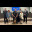 K9 Axel Swearing In - BOC.jpg