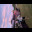 pic11.jpeg