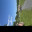IMG_6541.jpeg