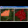 DssPacket_Page_4.jpg