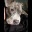 IMG_7286.jpeg