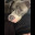 IMG_7287.jpeg