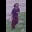 Screenshot 2026-06-11 150220.png