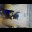 image4 2.jpeg