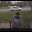 poi_package_theft_1.png