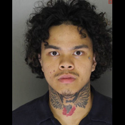 Image for Santiago, Javee s  - THEFT BY UNLAWFUL TAKING (F3)
