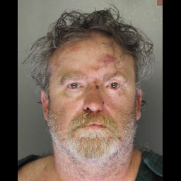 Image for Johnson, Mark Edward  - TERRORISTIC THREATS (M1) and 4 additional charges