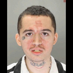 Image for Leed, Elijah Jordan  - THEFT BY UNLAWFUL TAKING-MOVABLE PROPERTY and 1 additional charge