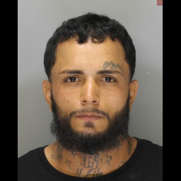 Image for Torres, Daniel Antonio  - INDIRECT CRIMINAL CONTEMPT