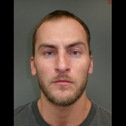 Image for Springer, Aaron   - DRIVING UNDER INFLUENCE and 1 additional charge