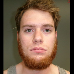 Image for Nicometo, Aaron Nickolas  - DRIVING UNDER INFLUENCE and 2 additional charges