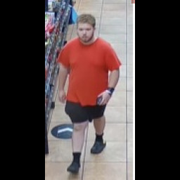 Image for Retail Theft Suspect