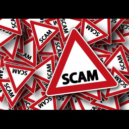 scam.jpg