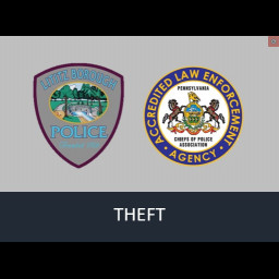 theft.jpg