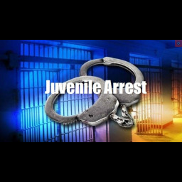 Image for JUVENILE CITED WITH HARASSMENT