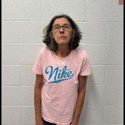 Image for Krentz, Susan M.  - (75) 3802 (A)(1)** DUI GENERAL IMPAIRMENT/INCAPABLE OF DRIVING SAFELY 2ND OFFENSE and 1 additional charge
