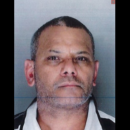 Image for Lancaster Township man banned from owning animals for 30 years after pleading guilty to neglecting severely injured and dead dogs as he traveled abroad